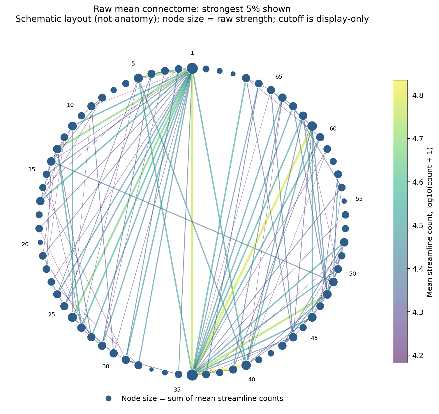 Circular network diagram of 70 connectome regions showing the strongest five percent of mean structural connections